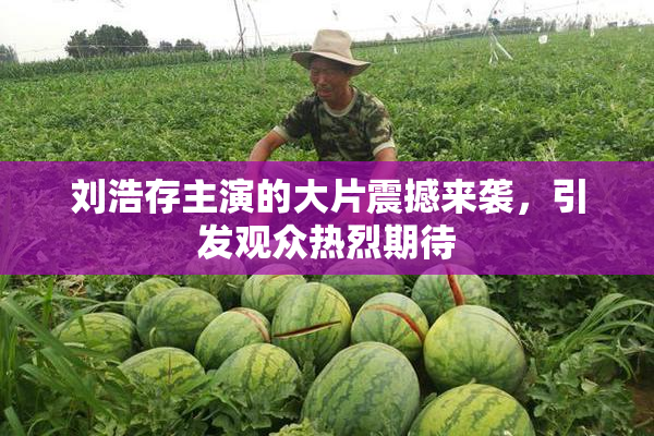 刘浩存主演的大片震撼来袭，引发观众热烈期待