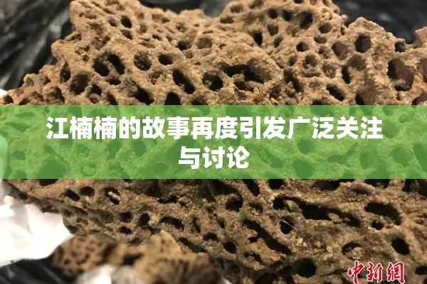 江楠楠的故事再度引发广泛关注与讨论