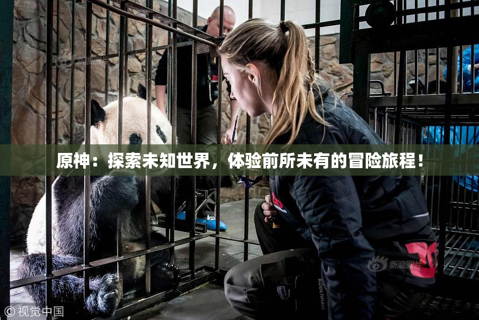 原神：探索未知世界，体验前所未有的冒险旅程！