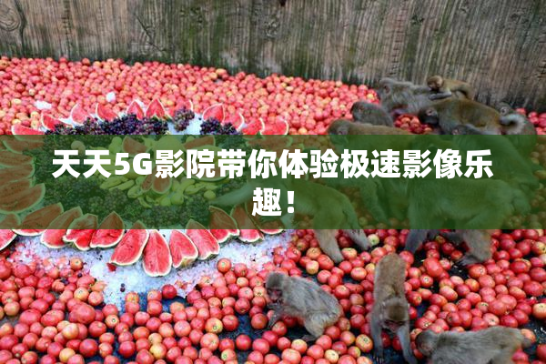天天5G影院带你体验极速影像乐趣！