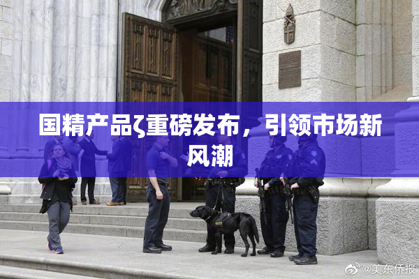 国精产品ζ重磅发布，引领市场新风潮