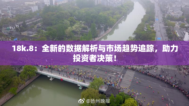 18k.8：全新的数据解析与市场趋势追踪，助力投资者决策！