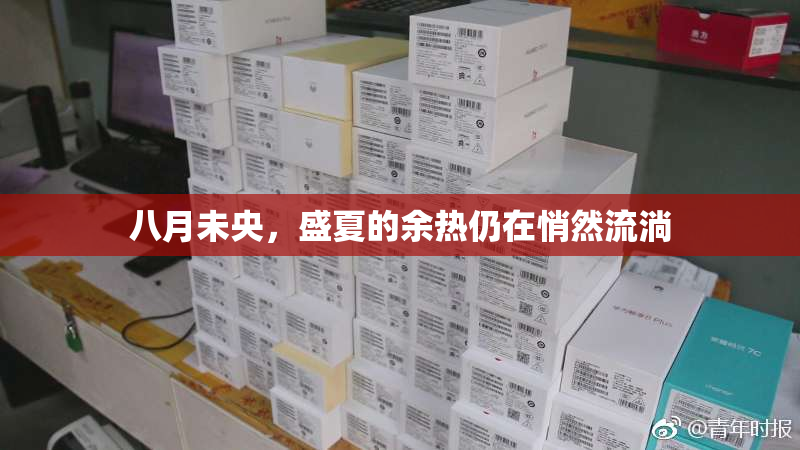 八月未央，盛夏的余热仍在悄然流淌