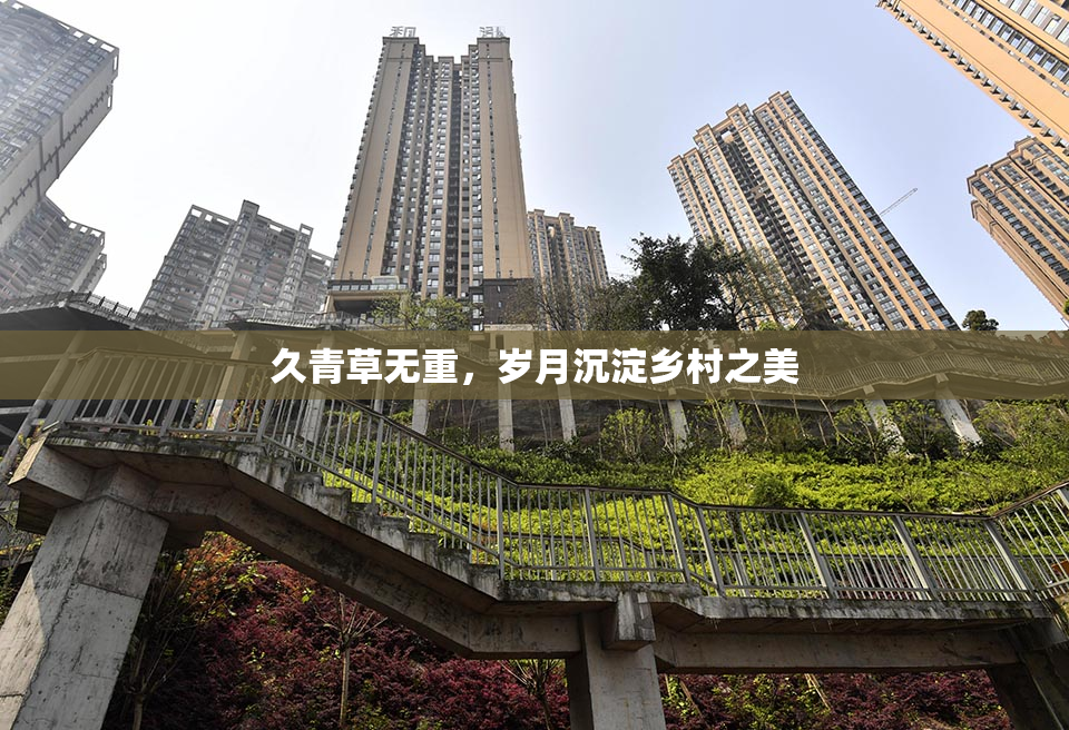久青草无重，岁月沉淀乡村之美