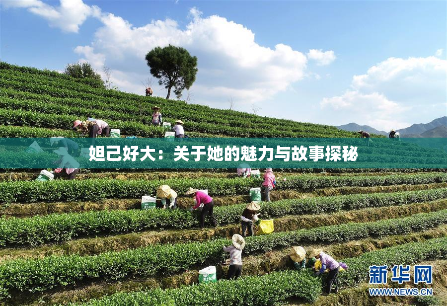 妲己好大：关于她的魅力与故事探秘