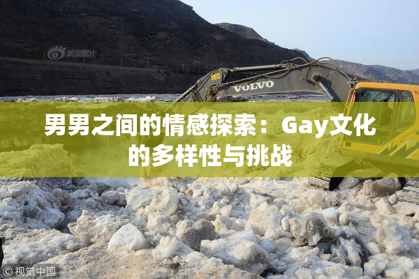 男男之间的情感探索：Gay文化的多样性与挑战