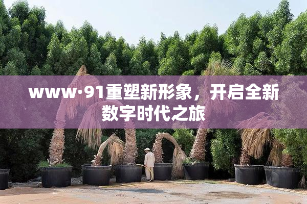 www·91重塑新形象，开启全新数字时代之旅