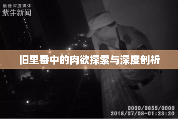 旧里番中的肉欲探索与深度剖析