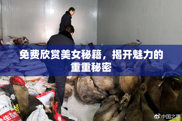 免费欣赏美女秘籍，揭开魅力的重重秘密