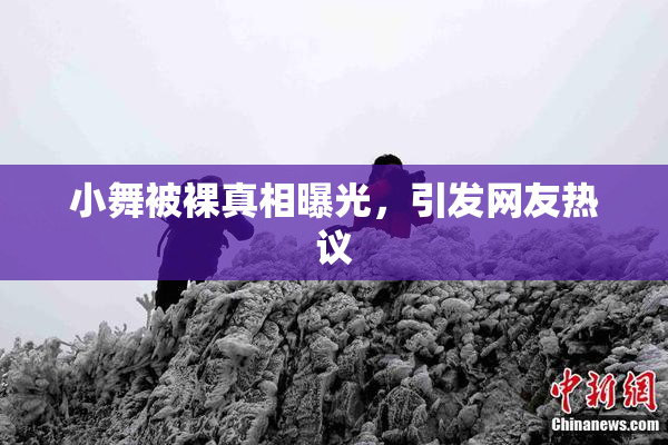 小舞被裸真相曝光，引发网友热议