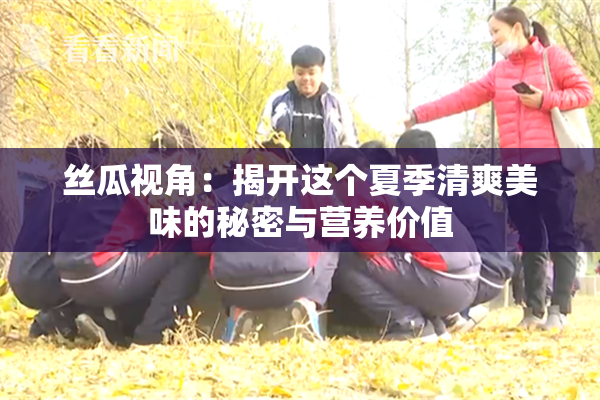 丝瓜视角：揭开这个夏季清爽美味的秘密与营养价值