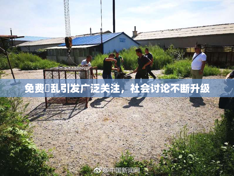 免费婬乱引发广泛关注，社会讨论不断升级
