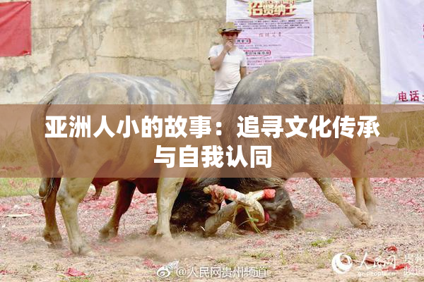 亚洲人小的故事：追寻文化传承与自我认同