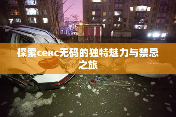 探索секс无码的独特魅力与禁忌之旅