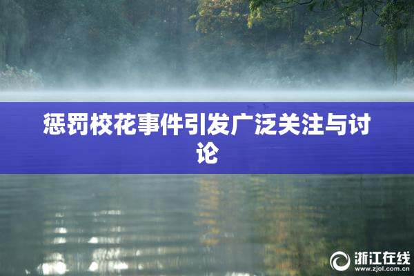 惩罚校花事件引发广泛关注与讨论