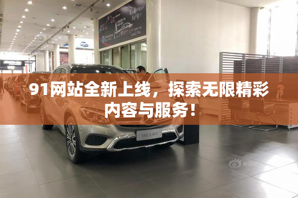 91网站全新上线，探索无限精彩内容与服务！