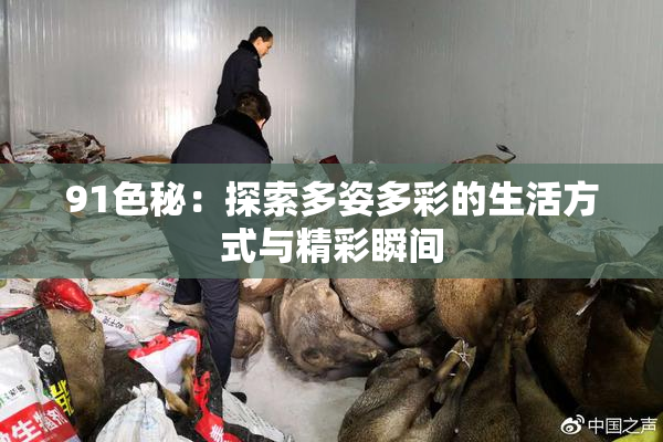 91色秘：探索多姿多彩的生活方式与精彩瞬间
