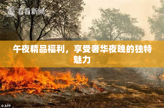 午夜精品福利，享受奢华夜晚的独特魅力