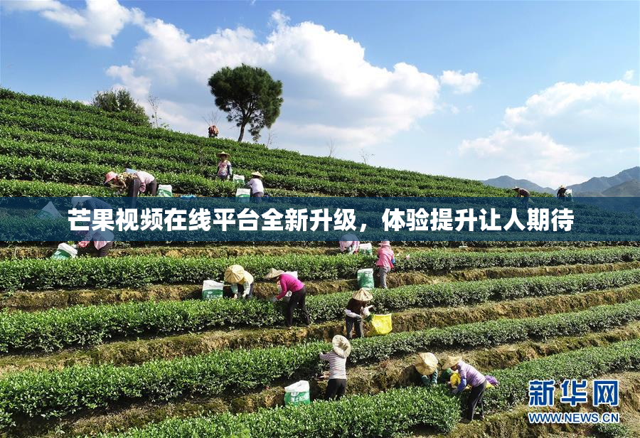 芒果视频在线平台全新升级，体验提升让人期待