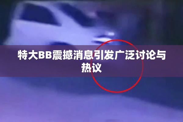 特大BB震撼消息引发广泛讨论与热议
