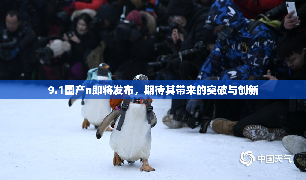 9.1国产n即将发布，期待其带来的突破与创新
