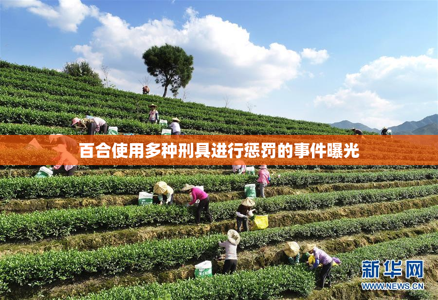 百合使用多种刑具进行惩罚的事件曝光
