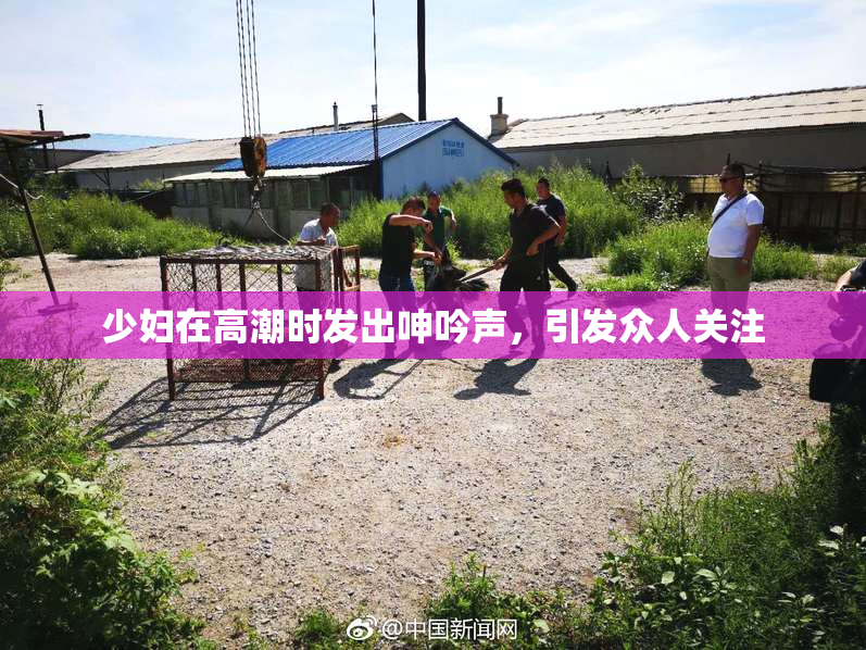 少妇在高潮时发出呻吟声，引发众人关注