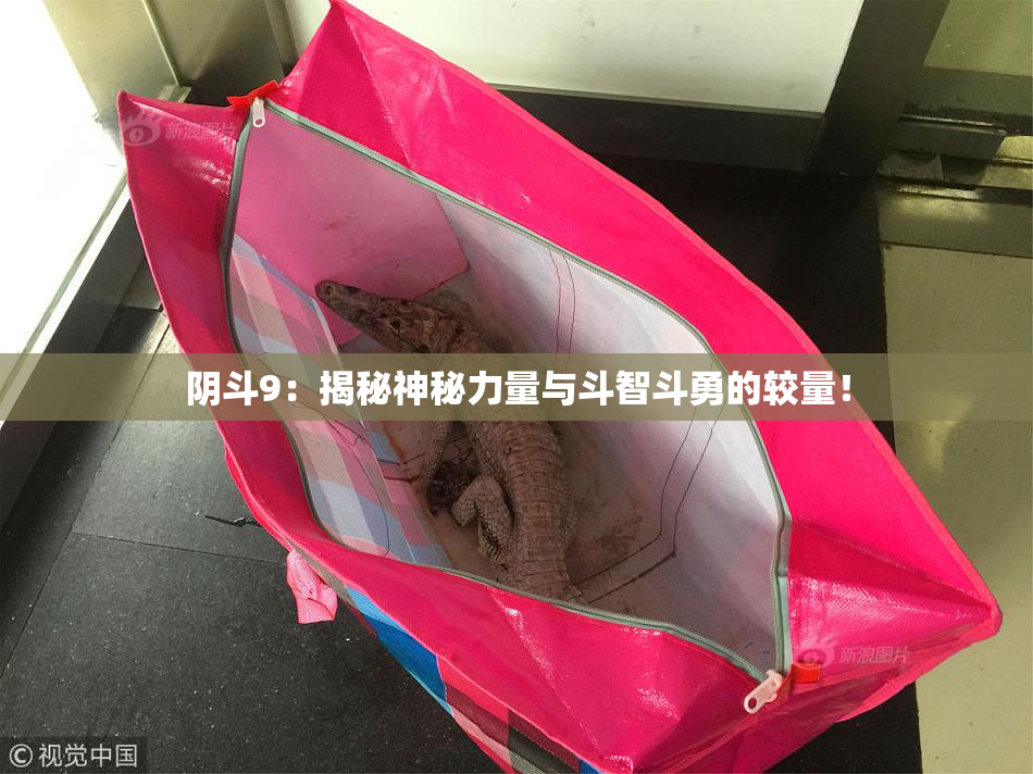 阴斗9：揭秘神秘力量与斗智斗勇的较量！