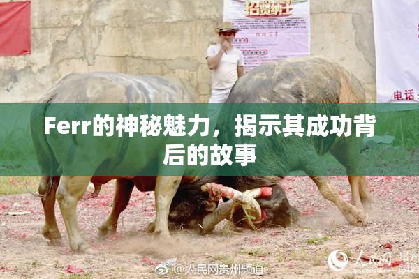 Ferr的神秘魅力，揭示其成功背后的故事