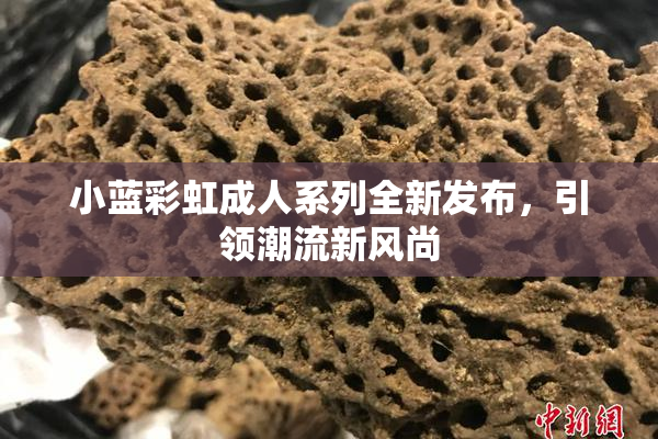 小蓝彩虹成人系列全新发布，引领潮流新风尚