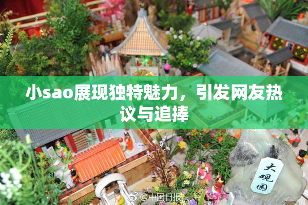 小sao展现独特魅力，引发网友热议与追捧