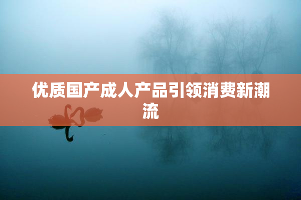 优质国产成人产品引领消费新潮流