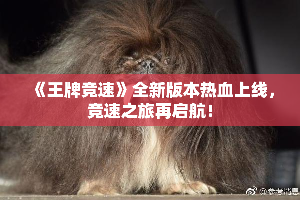 《王牌竞速》全新版本热血上线，竞速之旅再启航！