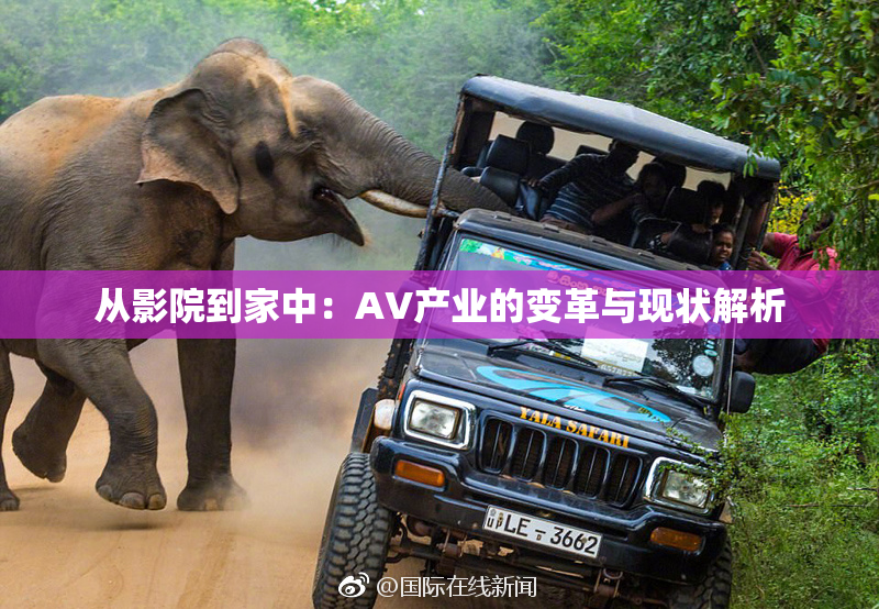 从影院到家中：AV产业的变革与现状解析