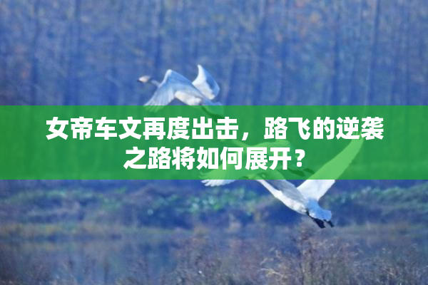 女帝车文再度出击，路飞的逆袭之路将如何展开？
