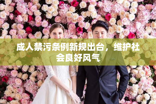 成人禁污条例新规出台，维护社会良好风气