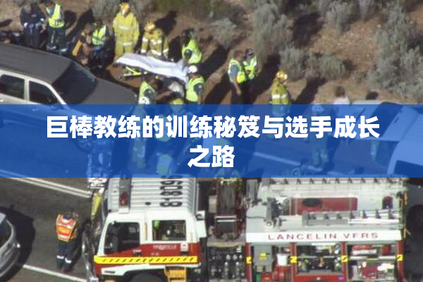 巨棒教练的训练秘笈与选手成长之路