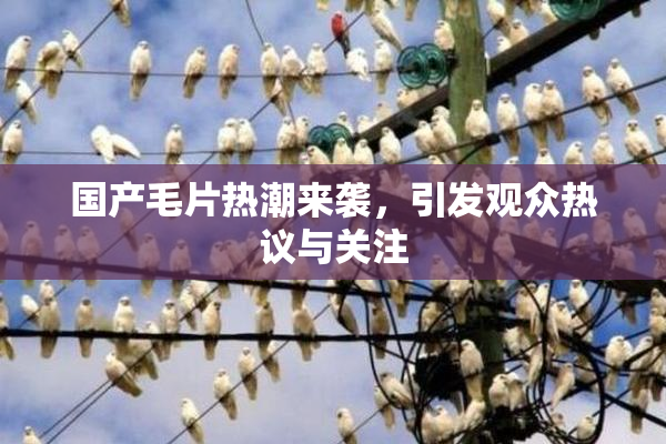 国产毛片热潮来袭，引发观众热议与关注