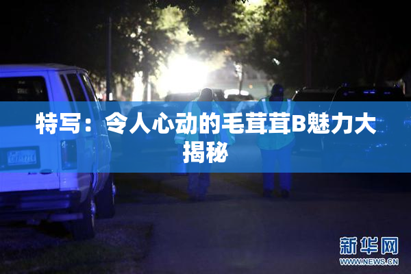 特写：令人心动的毛茸茸B魅力大揭秘