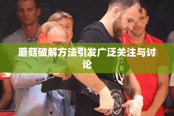 蘑菇破解方法引发广泛关注与讨论