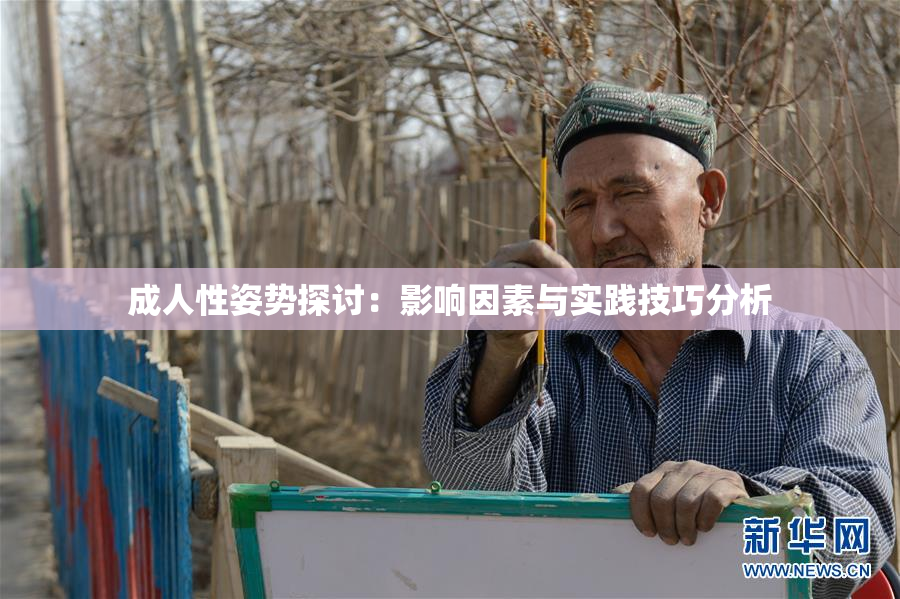 成人性姿势探讨：影响因素与实践技巧分析