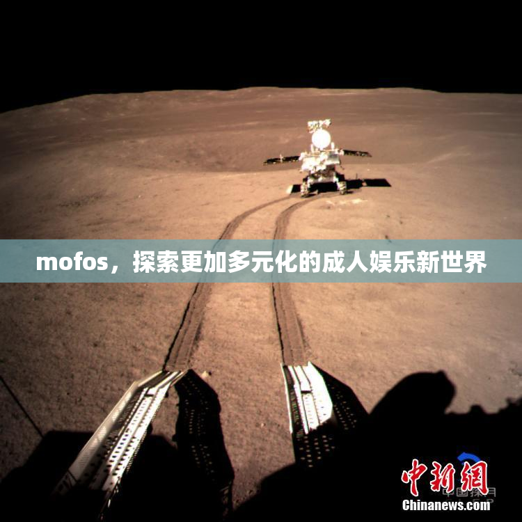 mofos，探索更加多元化的成人娱乐新世界
