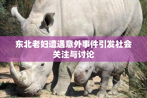 东北老妇遭遇意外事件引发社会关注与讨论