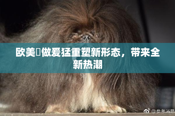欧美巜做爰猛重塑新形态，带来全新热潮