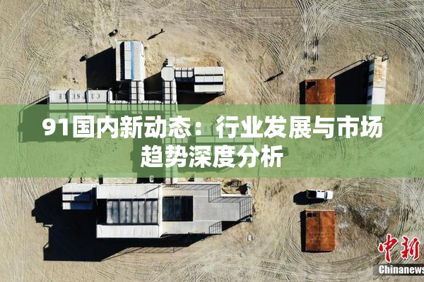 91国内新动态：行业发展与市场趋势深度分析
