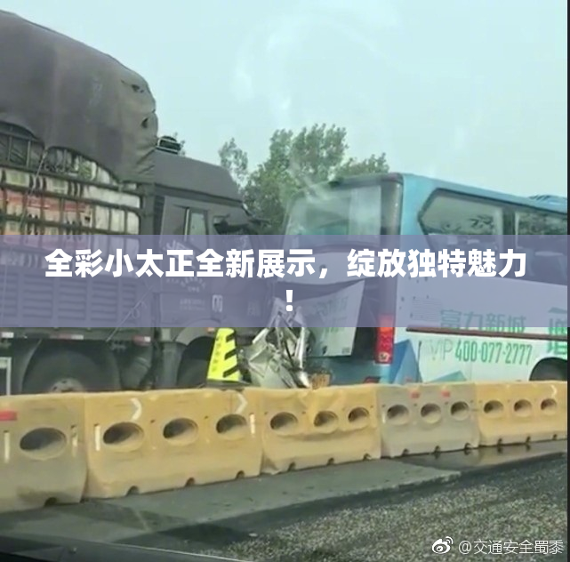 全彩小太正全新展示，绽放独特魅力！