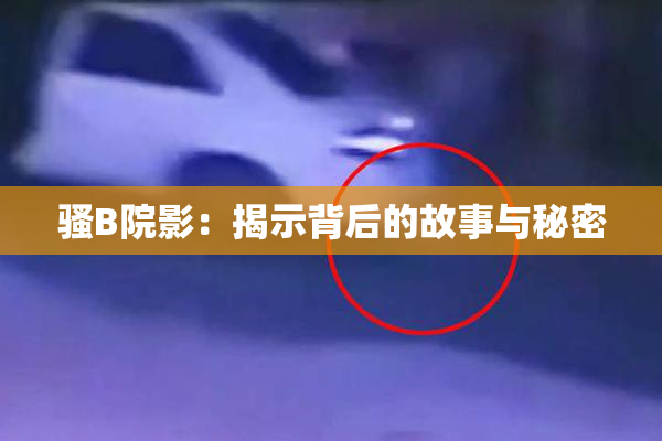 骚B院影：揭示背后的故事与秘密