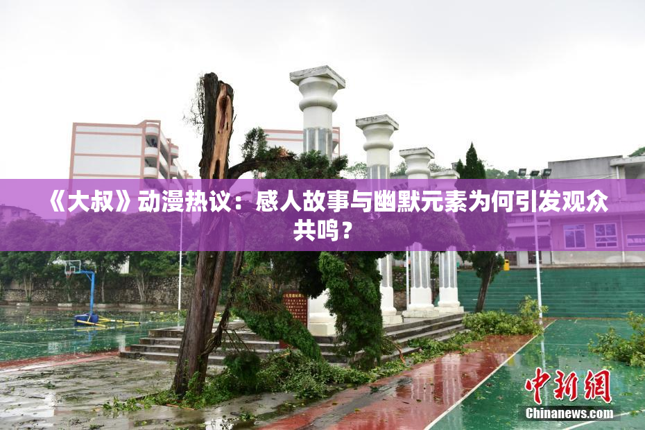 《大叔》动漫热议：感人故事与幽默元素为何引发观众共鸣？