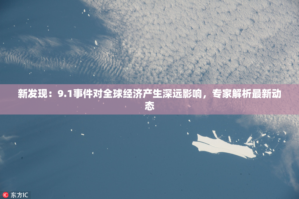 新发现：9.1事件对全球经济产生深远影响，专家解析最新动态