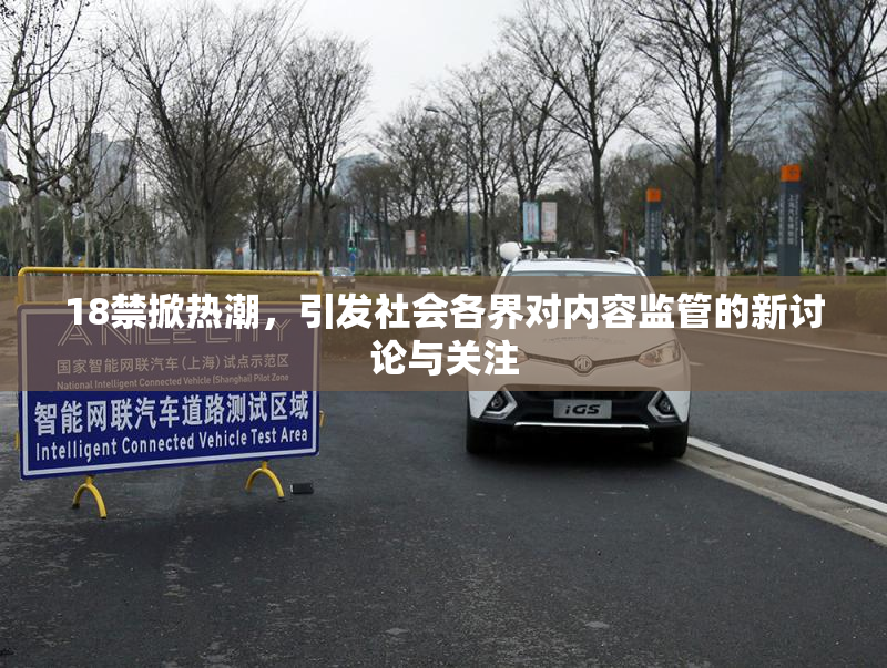 18禁掀热潮，引发社会各界对内容监管的新讨论与关注